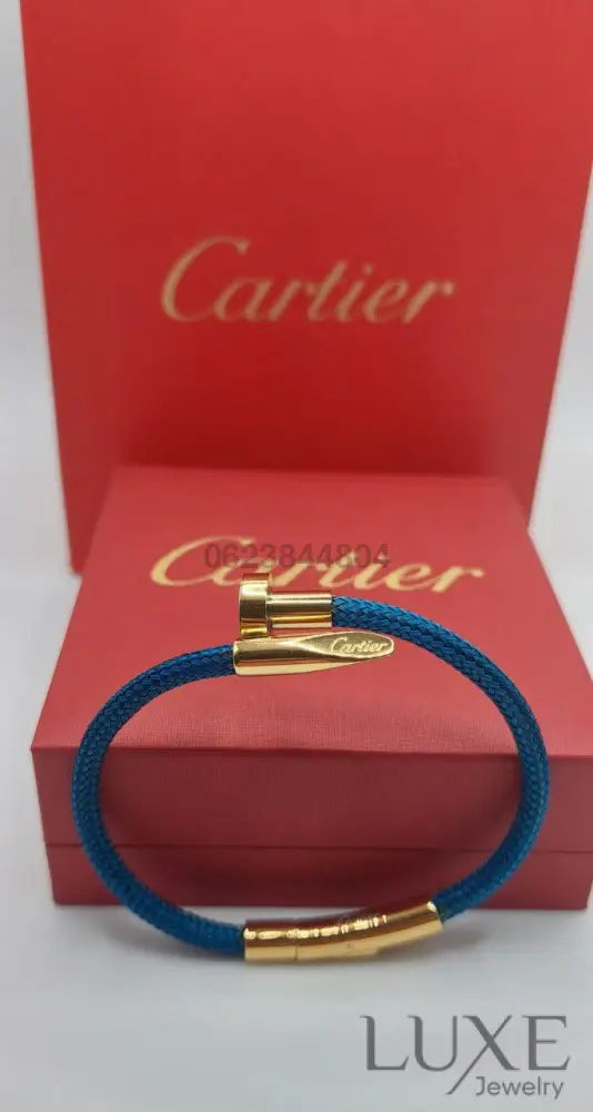Bracelet de Luxe Pour Homme / H300128 Blue / Gold bracelet homme